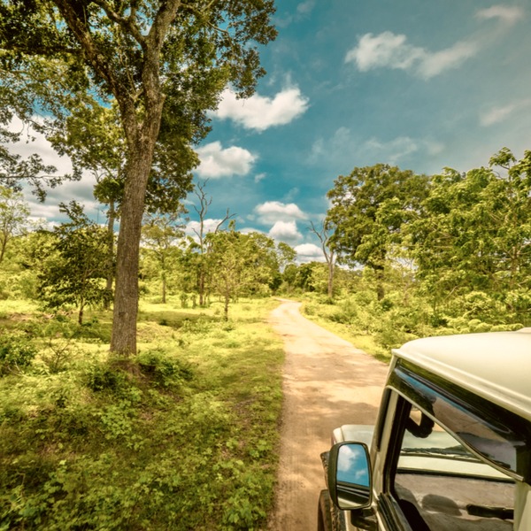 Best Places To Visit: 