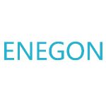 Enegon Electronics promo codes