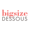 Bigsize Dessous coupon codes