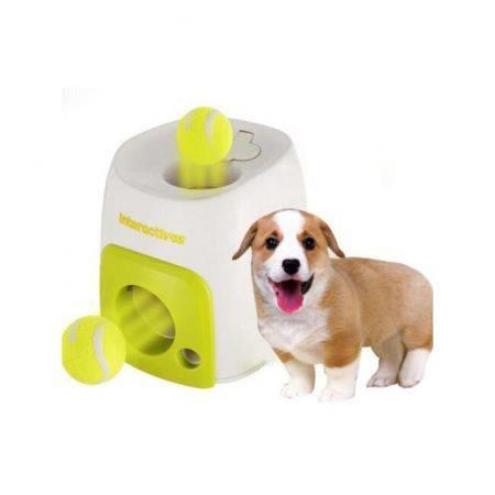 All For Paws Interactive Fetch N Treat Dog Cat Pet Afp Ball Play Toy Game