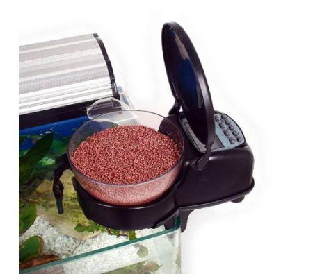 Automatic Fish Feeder