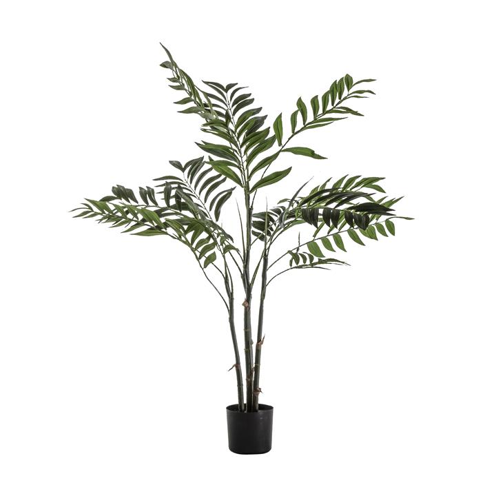 Azana Palm Tree Small