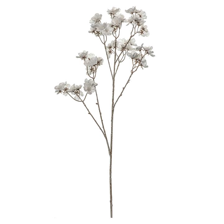 Bindi Stem (3pk) White/Brown