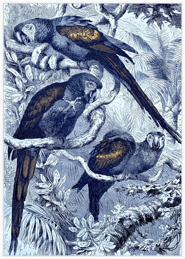 Blue Parrots Wall Art - White-Blue Multi - 100x140cm