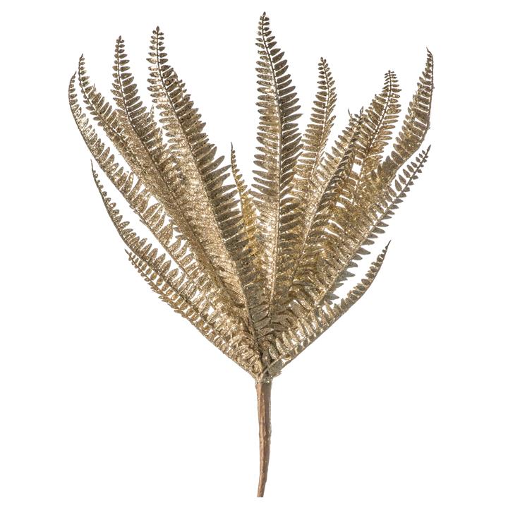 Bluma Fern Gold