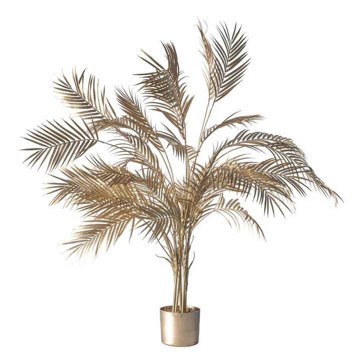 Bojan Potted Palm Tree