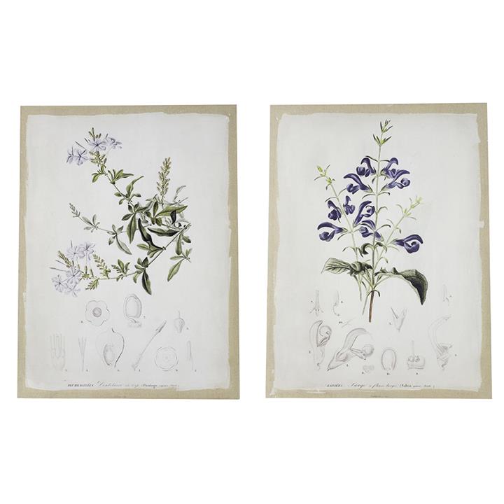 Botanical Canvas Wall Art Set/2