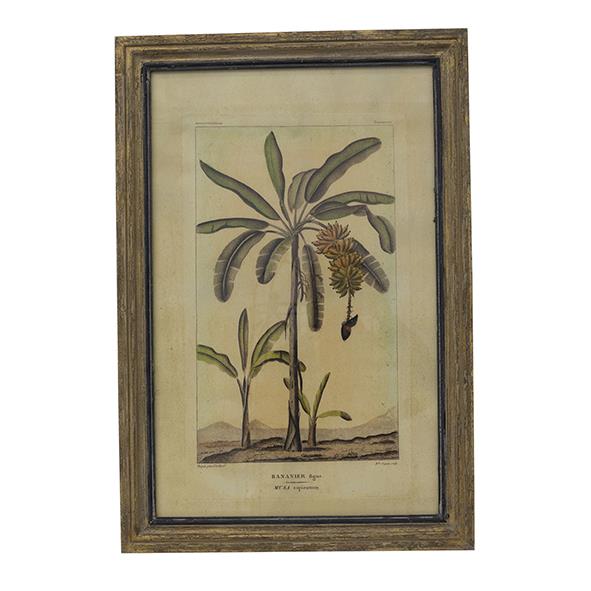 Botanical Wall Art Species A