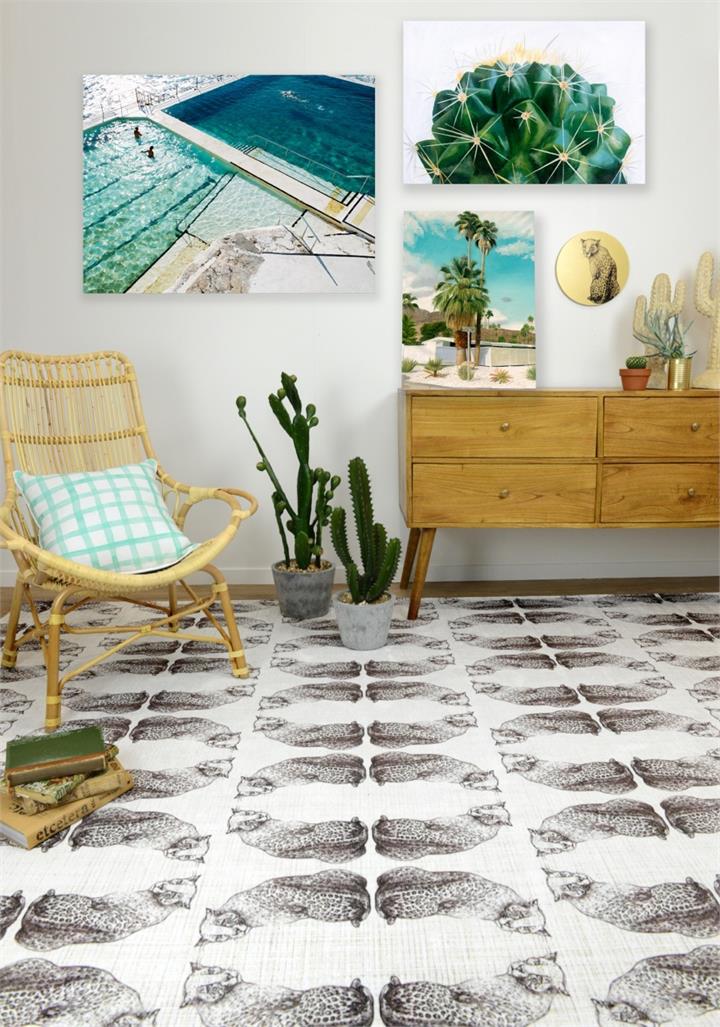 Cacti - Oak Box Frame Canvas - 100x75 - Landscape