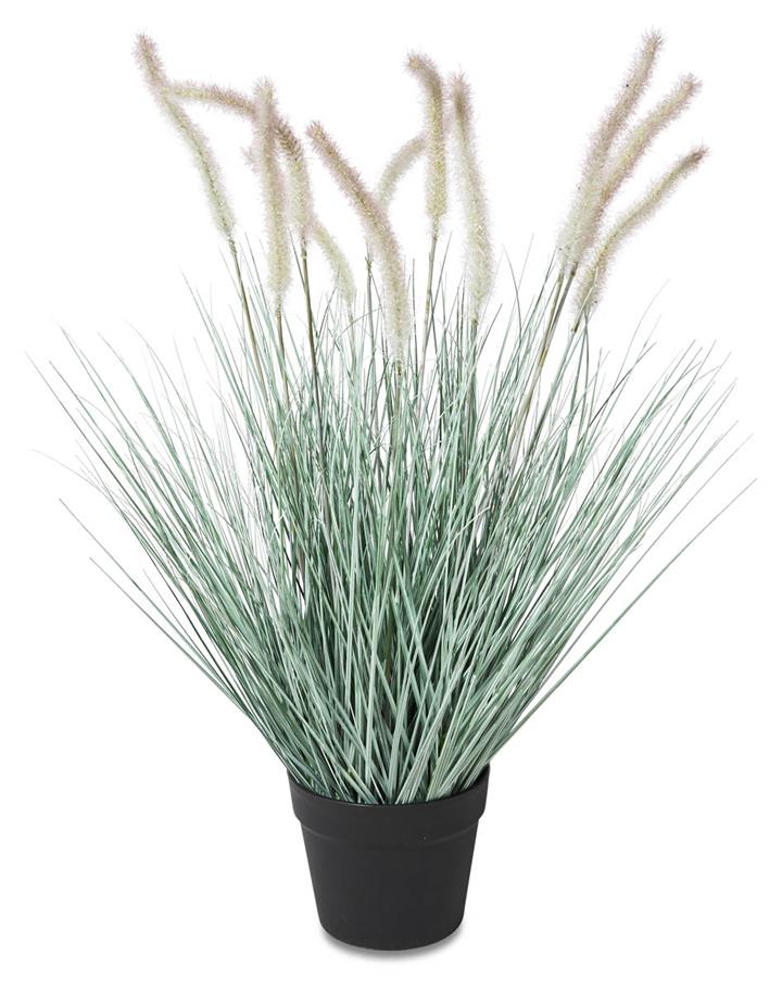 Cattail Grass WIth Pot 60cm - Green