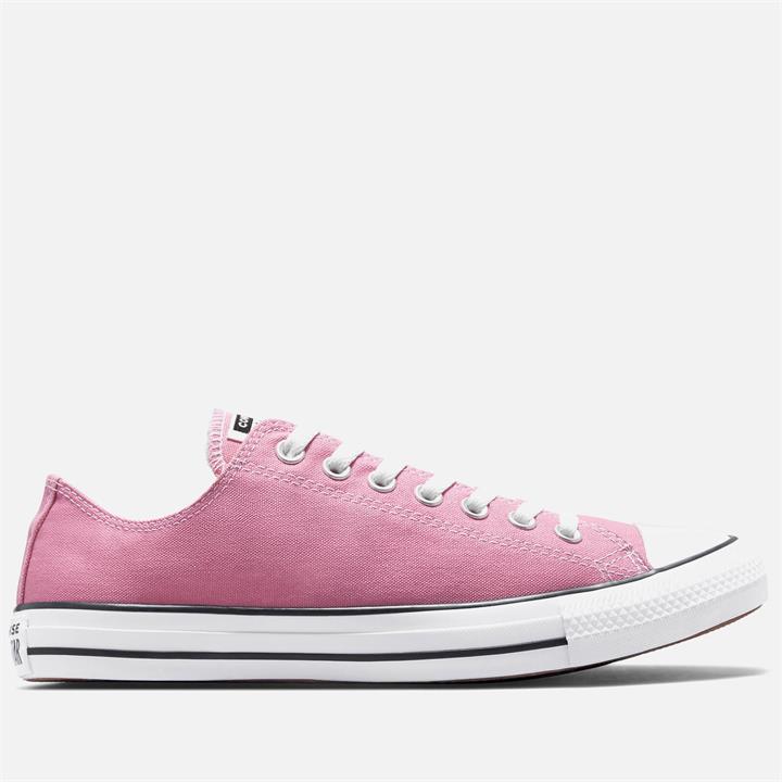 Converse Women's Chuck Taylor All Star Ox Trainers - Magic Flamingo - UK 4