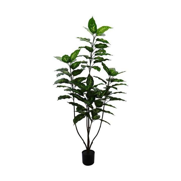 Dieffenbachia Artificial Plant - 150cm
