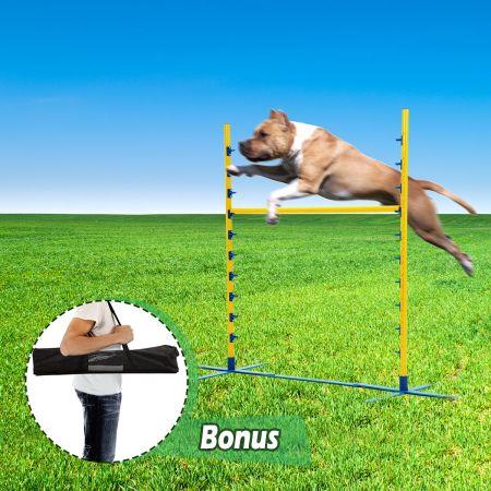 Dog Training Practice Agility Exercise Jump Bar