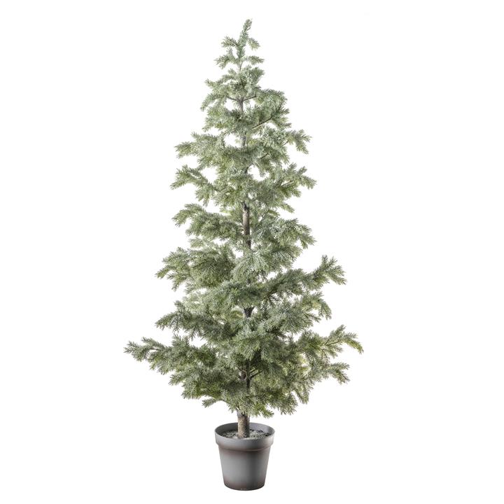 Elverum Snowy Pine Tree Green