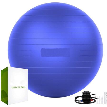 Exercise Ball (65cm) Extra Thick Yoga Ball Chair (Purple)