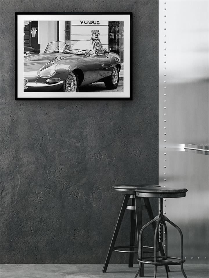 Fashion Cat - Frame Black - With Mat - 84x105 - Landscape