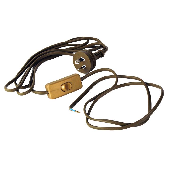 Flex Moulded Plug & Switch Gold Dbins