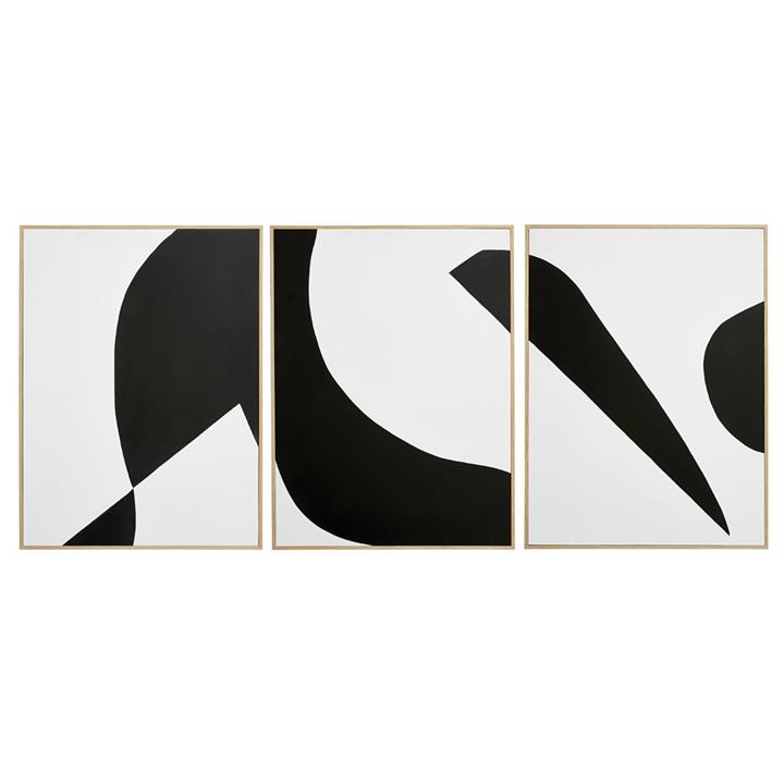 Franz Framed Hand Painted Wall Art - Set of 3