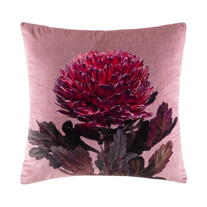 Hope Cushion - Wine Square