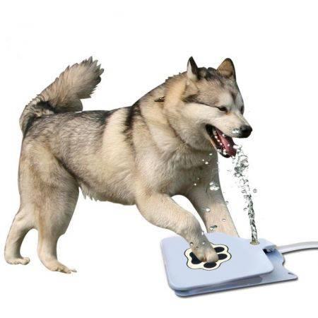 Outdoor Animal Dog Water Feeder Dispenser Pedal Induction