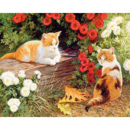 Paint by Numbers, Canvas Oil Painting Kit  40 x 50cm  with Inner Frame # 7
