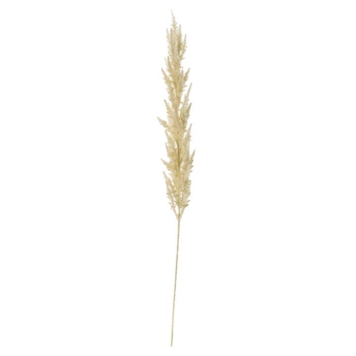 Pancho Grass (3pk) Ivory