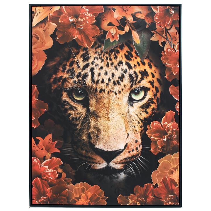 Peekaroar Framed Print 80x110