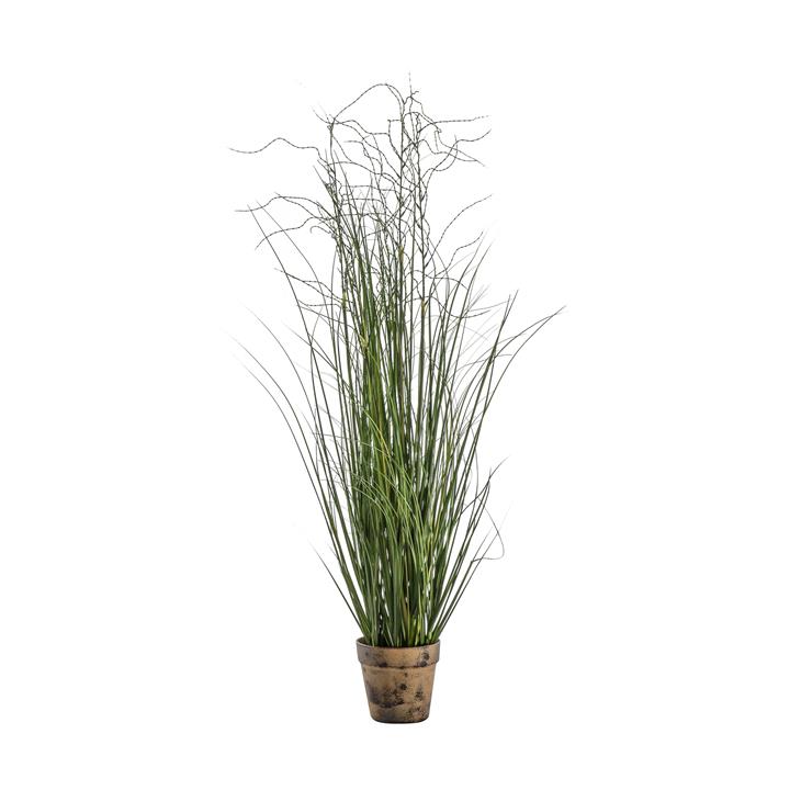 Portia Onion Grass Green