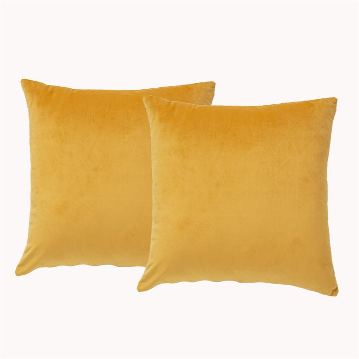 Renee Taylor Poly Velvet Printed Cushion filled 50 x 50 Cms  Chai- Twin Pack