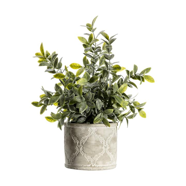 Reverie Patterned Pot