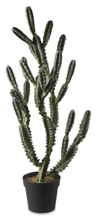 Santa Fe Cactus in Plastic Pot 107cm - Green