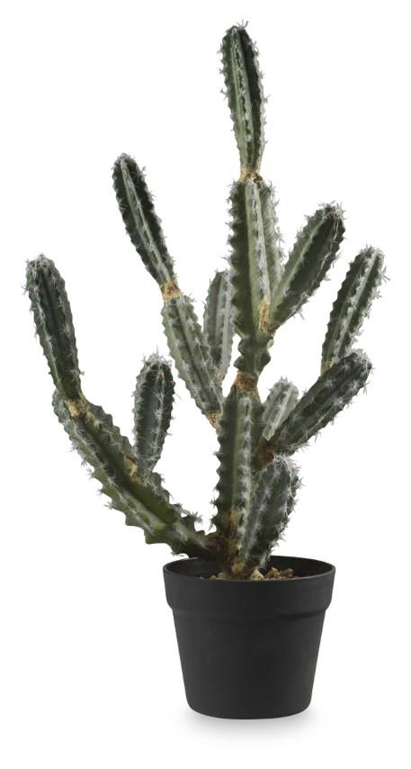 Santa Fe Cactus in Plastic Pot 63cm - Green
