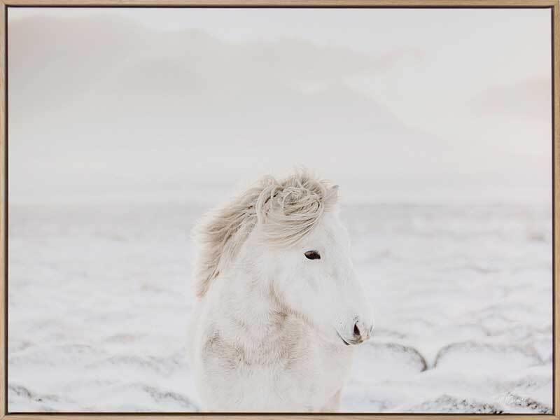 Snow Storm - Oak Box Frame Canvas - 90x120 - Landscape