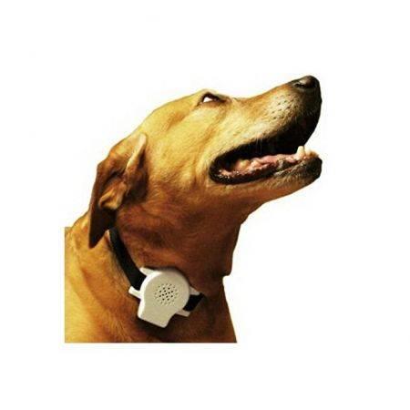 Ultrasonic Dog Voice Record Anti Bark Collar Pet Recording No-Barker