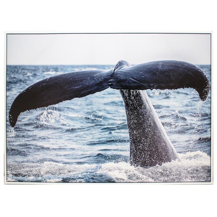 Whale Tail Print 110x80cm