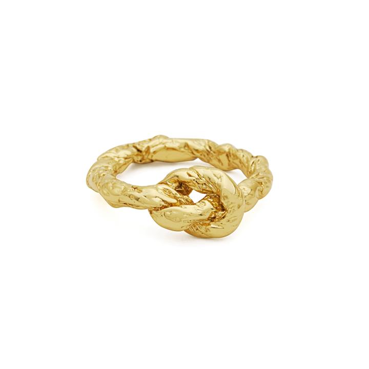 Zion Ring